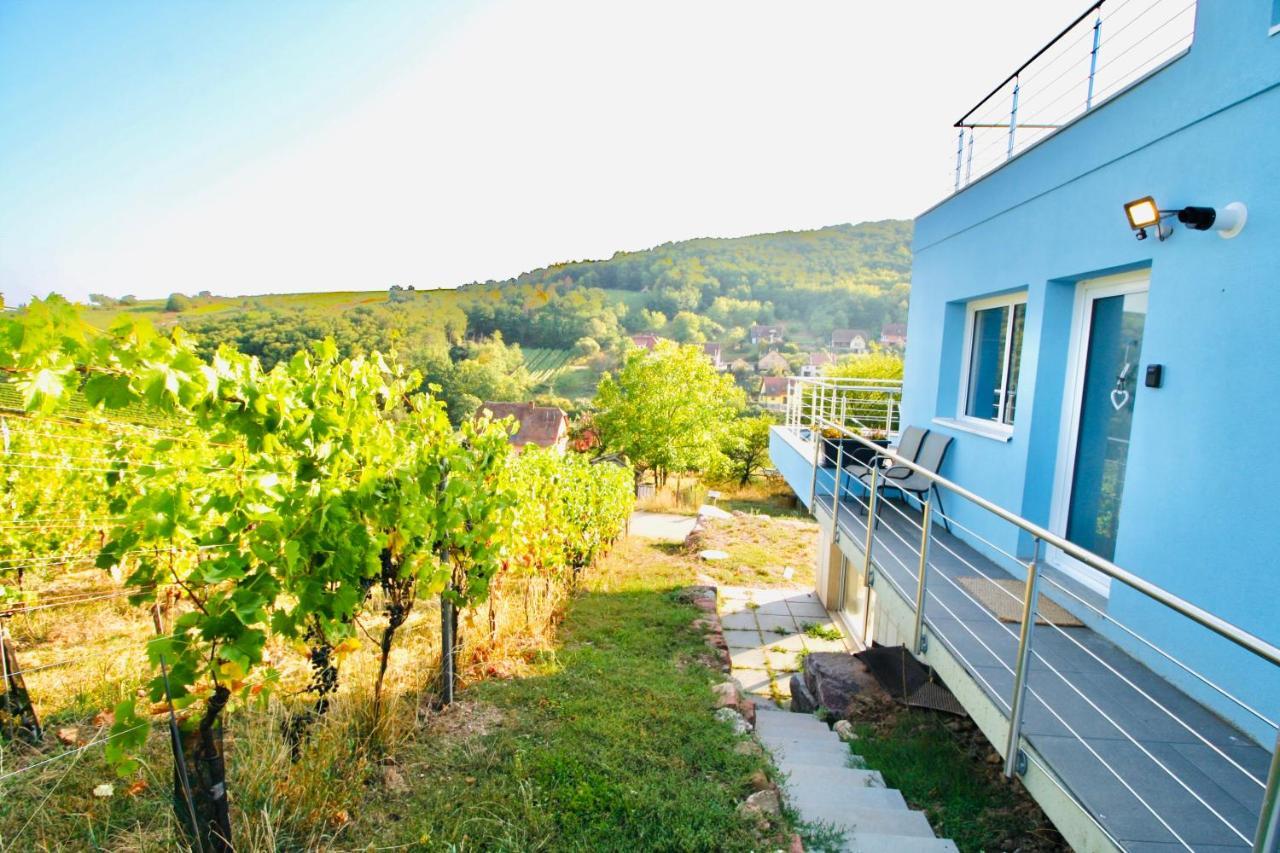 Janea Big Blue House Apartment Reichsfeld Ngoại thất bức ảnh
