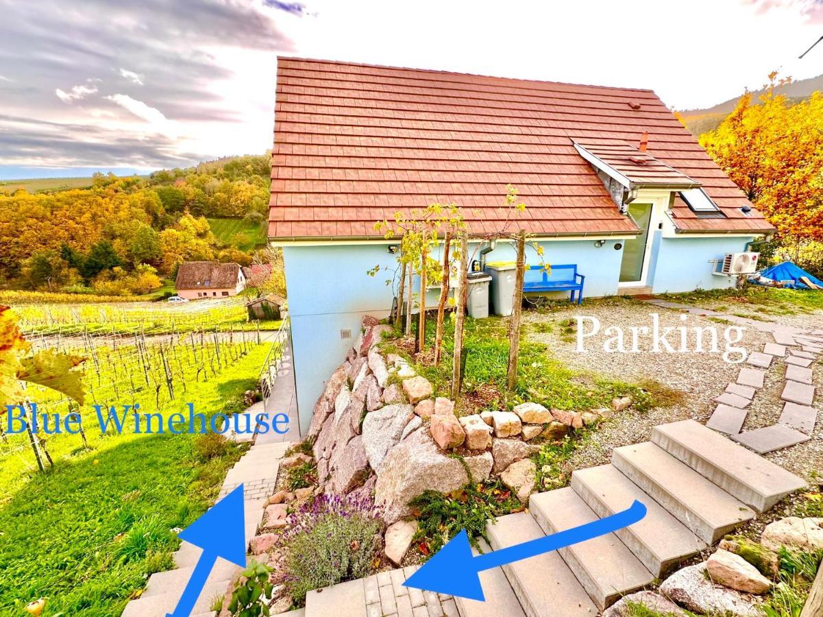 Janea Big Blue House Apartment Reichsfeld Ngoại thất bức ảnh