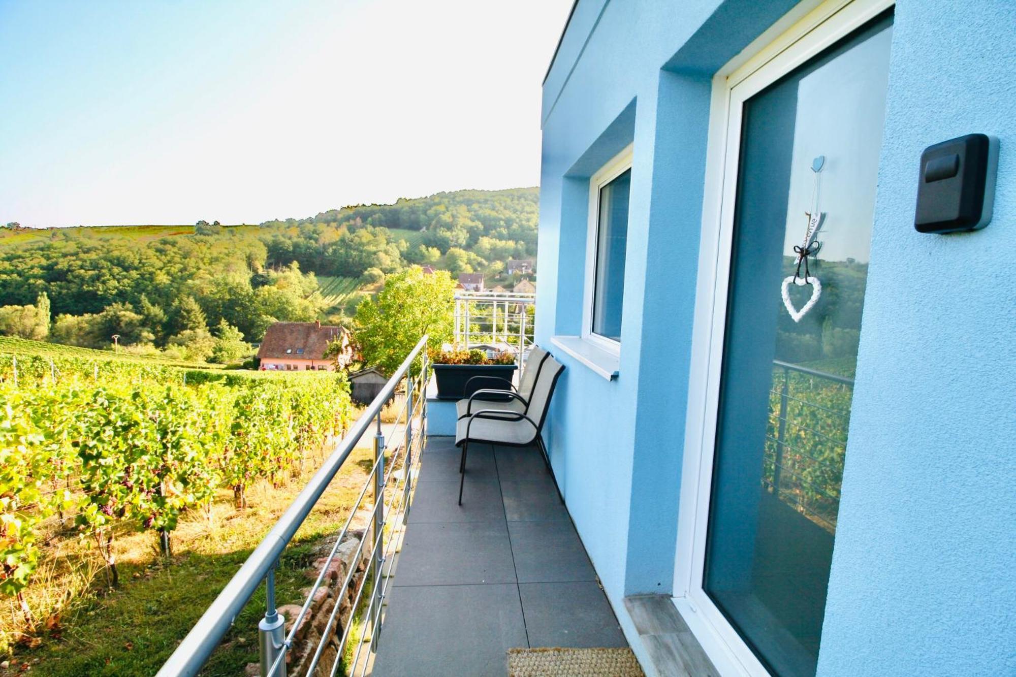 Janea Big Blue House Apartment Reichsfeld Ngoại thất bức ảnh